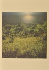 Cy Twombly, PASSO GODI, National Parc of Abruzzo, 2007, impression sur papier. &copy; Cy Twombly, clich&eacute; Richard Cook.