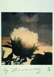 Cy Twombly, "Tree-peony", Bassano in Teverina, 1980, dry print on cardboard, courtesy of the artist / Gagosian Gallery.